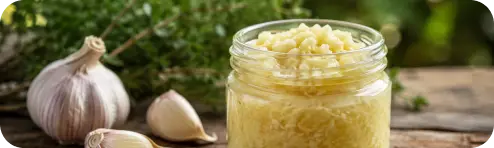Garlic botanical ingredient