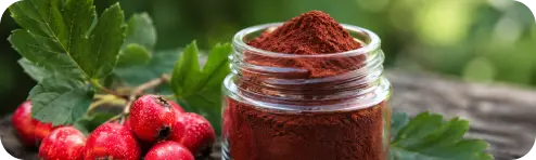 Hawthorn botanical extract