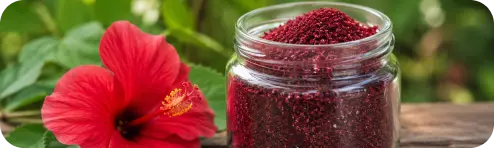 Hibiscus botanical extract