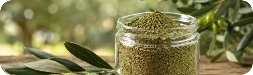Olive leaf botanical extract